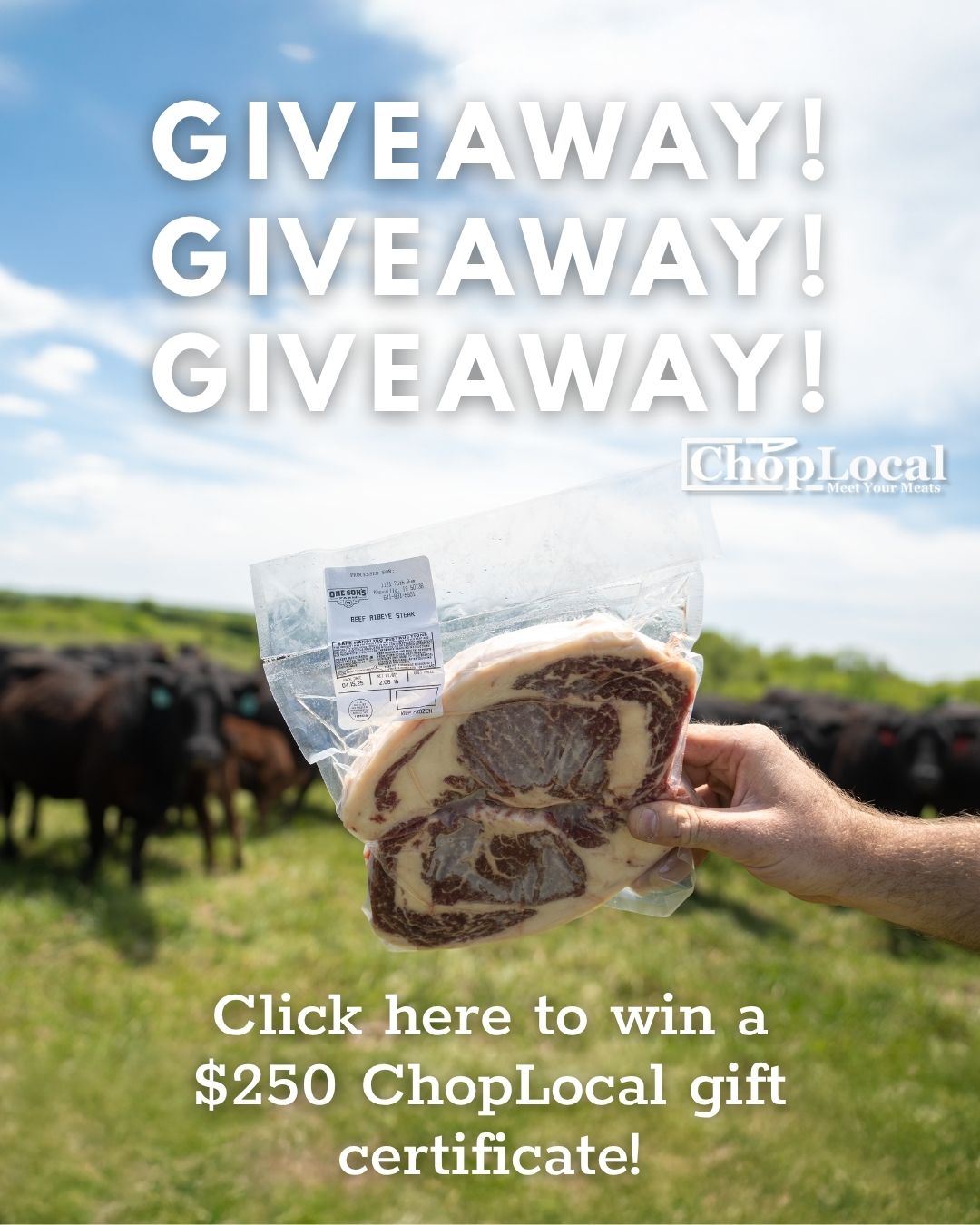 meat giveaway