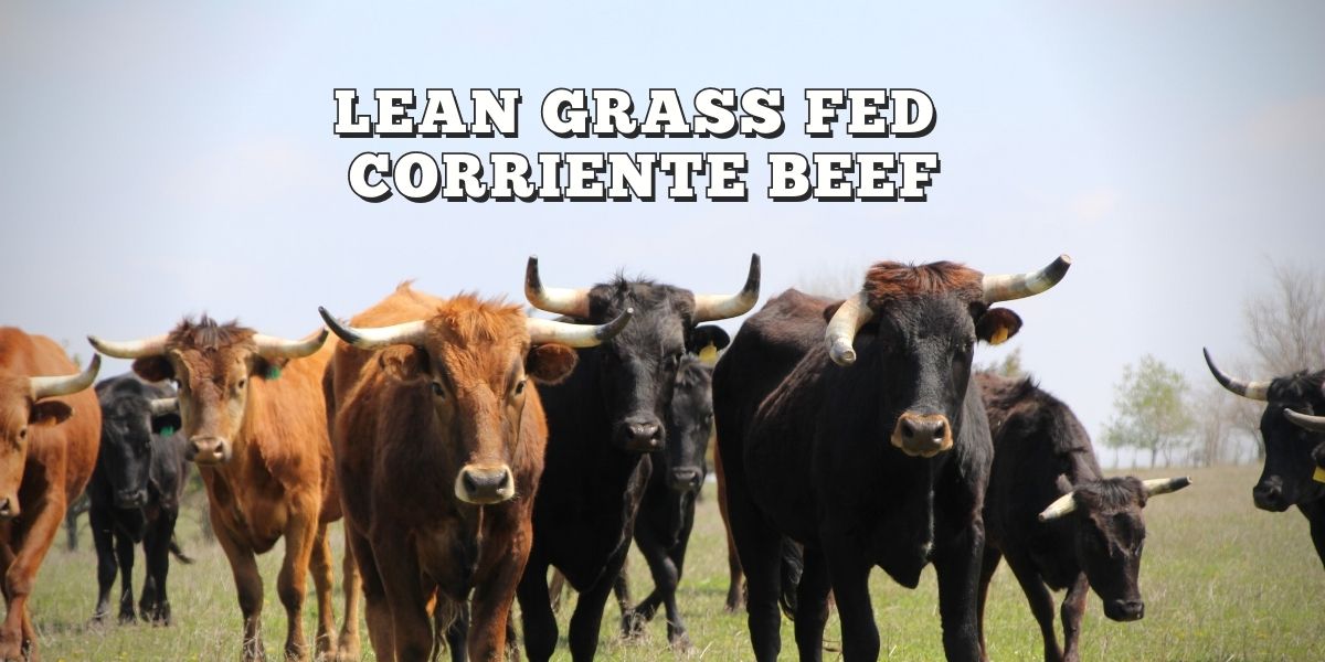 Yoke S Ranch Lean Grass Fed Beef