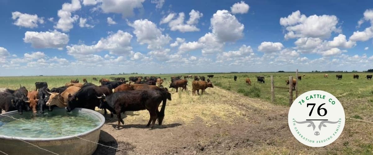 nebraska beef cattle farm