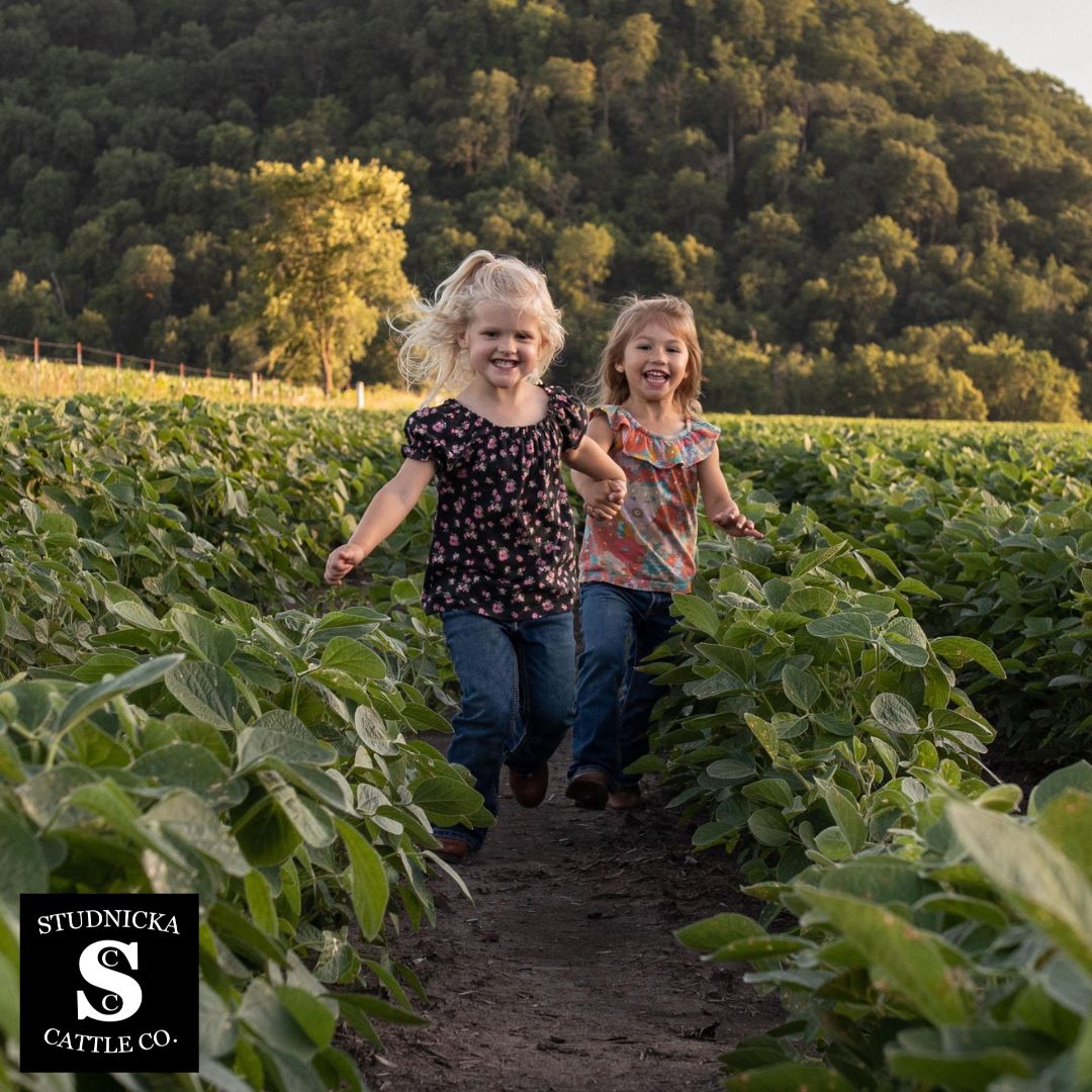 Studnicka Cattle Company Beef Ring Bologna