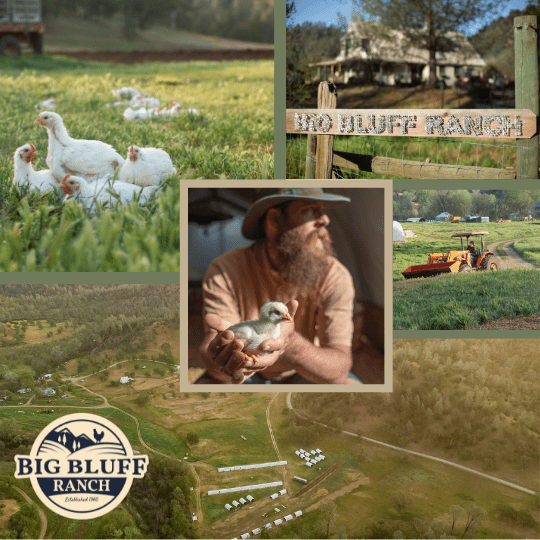 Organic, Pasture Raised Chicken (Whole) – Gilliam Farm