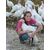 *Farm Fresh, Free Range Thanksgiving Turkeys - image 2 | The Farmers Turkey