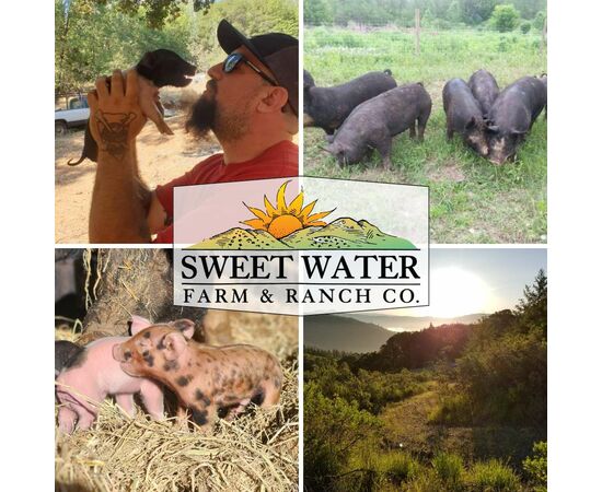 Fuet – Spanish-Style Salami - image 2 | Sweet Water Farm & Ranch Co.