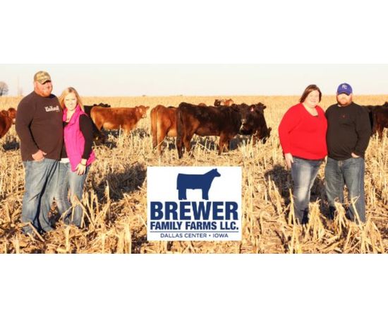 Iowa beef steak from Brewer Family Farms