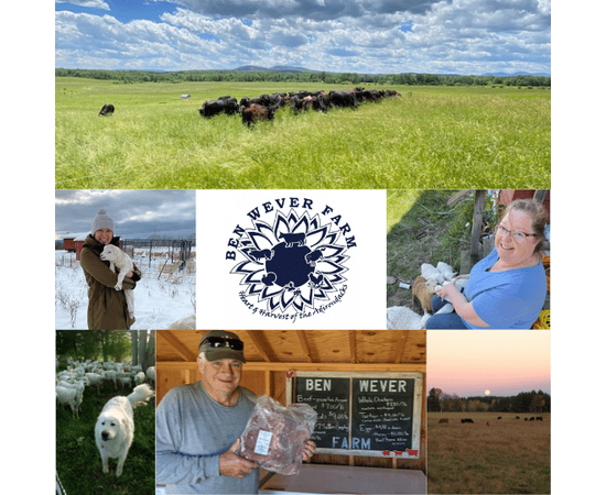 Pasture-Raised Whole Turkey - image 2 | Ben Wever Farm