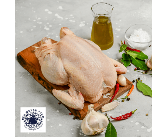 Pasture-Raised Whole Turkey - image 1 | Ben Wever Farm